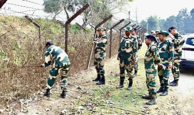 हिंसा के चलते बड़ी संख्या में लोग भारत आने की फिराक में घुस रहे थे सैकड़ों बांग्लादेशी, BSF ने फिर दबोचा-खदेड़ा