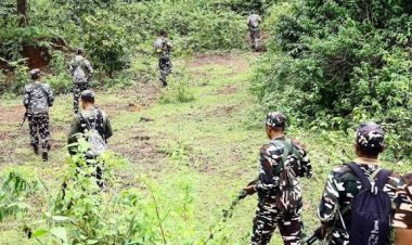 छत्तीसगढ़ और आंध्र प्रदेश की सीमा पर सुरक्षाबलों ने बीते 48 घंटों में कुल 13 नक्सली मार गिराए और 50 माओवादियों को गिरफ्तार किया