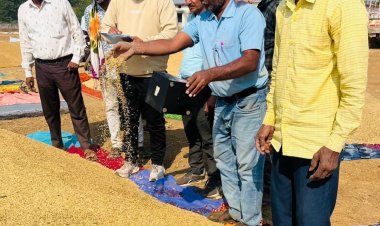 सख्त मॉनिटरिंग का असर—धमतरी में धान खरीदी तेज रफ्तार पर,किसानों को मिल रहा त्वरित भुगतान