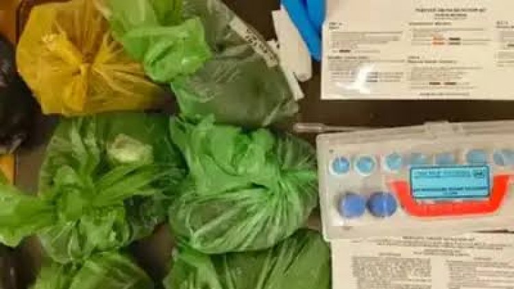 छत्तीसगढ के जगदलपुर में पुलिस ने करीब 10 किलो गांजा और हशीश तेल (लिक्विड गांजा) पकड़ा