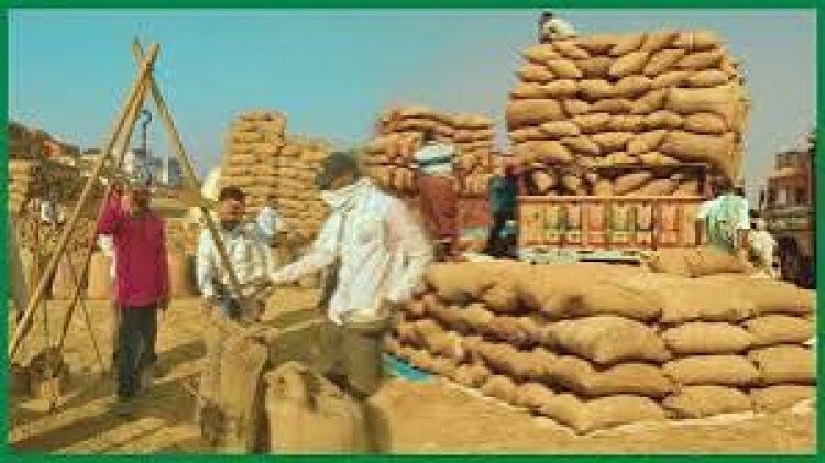 किसान ने लगाया धान खरीदी केंद्रों पर वसूली का आरोप.