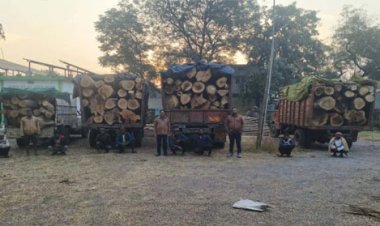 प्रतिबंधित कहुआ लकड़ी का अवैध परिवहन, दुर्ग में वन विभाग ने जब्त किए पांच वाहन