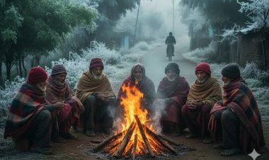 मौसम विभाग ने छत्तीसगढ़ के गौरेला-पेंड्रा-मरवाही, मनेन्द्रगढ़-चिरमिरी-भरतपुर समेत 17 जिलों में कोल्ड वेव का अलर्ट जारी किया