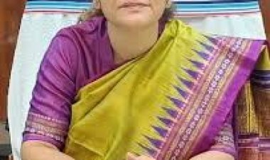 ग्राम पंचायत में विकास हेतु सरपंच सबसे जिम्मेदार जनप्रतिनिधि - त्रिपाठी