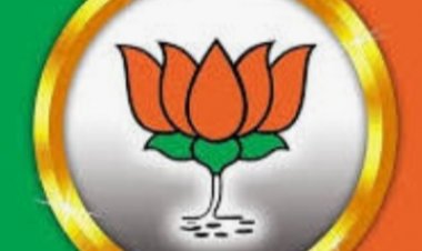 *जिएसटी के छापे से जिले की राजनीति गरमायी,,भाजपा मे मची खलबली,बैठक का दौर हुआ शुरु*