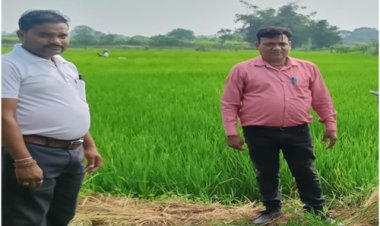 वैज्ञानिक खेती से भूखनलाल सोंचे की आर्थिक स्थिति में आया बड़ा सुधार