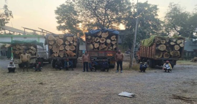 प्रतिबंधित कहुआ लकड़ी का अवैध परिवहन, दुर्ग में वन विभाग ने जब्त किए पांच वाहन