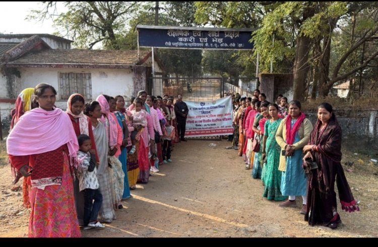 *जशपुर की पशु सखियों ने झारखंड में लिया उन्नत पशुपालन का प्रशिक्षण,,बिहान मिशन के तहत 48 दीदियों का रांची व बिरसा कृषि विश्वविद्यालय मे शैक्षणिक परिभ्रमण*