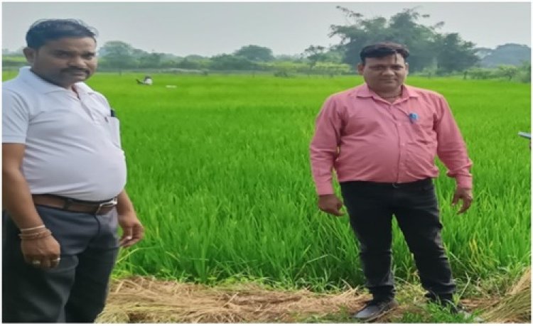 वैज्ञानिक खेती से भूखनलाल सोंचे की आर्थिक स्थिति में आया बड़ा सुधार