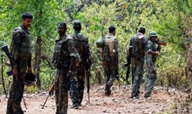 Sukma Naxal Encounter: सुकमा में सुरक्षाबलों को बड़ी कामयाबी, 12 नक्सली ढेर