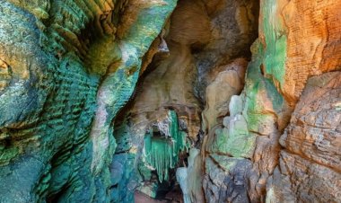 *कांगेर घाटी में मिली अनोखी ग्रीन गुफा जल्द खुलेंगे पर्यटन के नए द्वार*