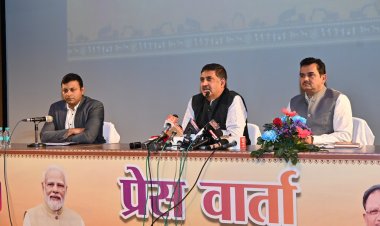 छत्तीसगढ़ लीथियम खदान की नीलामी करने वाला देश का पहला राज्य बना - पी. दयानंद