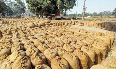 धान उपार्जन व्यवस्था में पारदर्शिता सुनिश्चित करने राज्यभर में सघन कार्रवाई, अवैध परिवहन, भंडारण व मिलिंग पर प्रशासन सख़्त, कई जिलों में बड़ी कार्रवाई