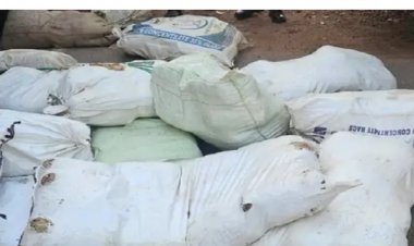 सरप्राइज चेकिंग में एक घर से बरामद हुआ नशे का जखीरा, 73 किलो गांजा और 790 बैन दवाएं…