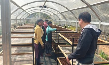 *जशपुर में चल रही DST प्रायोजित परियोजना के तहत सोलर टनल ड्रायर की स्थापना,खाद्य ग्रेड महुआ और वनौशधी के प्रसंस्करण को मिला वैज्ञानिक आधार*