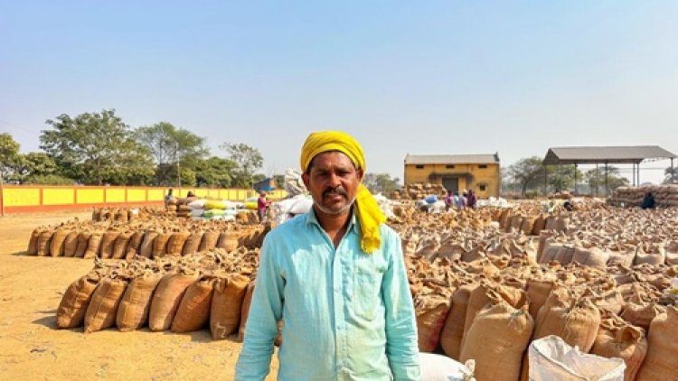 3100 रुपये प्रति क्विंटल समर्थन मूल्य और पारदर्शी व्यवस्था से बढ़ा किसानों का भरोसा