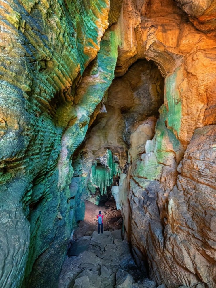 *कांगेर घाटी में मिली अनोखी ग्रीन गुफा जल्द खुलेंगे पर्यटन के नए द्वार*