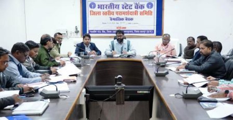 पात्र हितग्राहियों को ऋण प्रदाय करने में बरतें उदारता, ताकि योजनाओं के लाभ से कोई ना हो वंचित : कलेक्टर व्यास