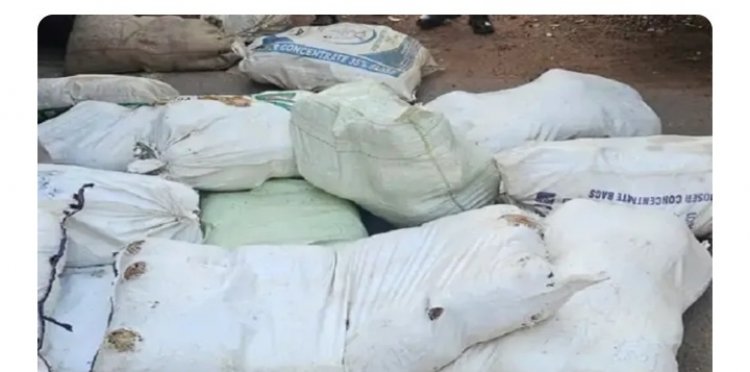 सरप्राइज चेकिंग में एक घर से बरामद हुआ नशे का जखीरा, 73 किलो गांजा और 790 बैन दवाएं…