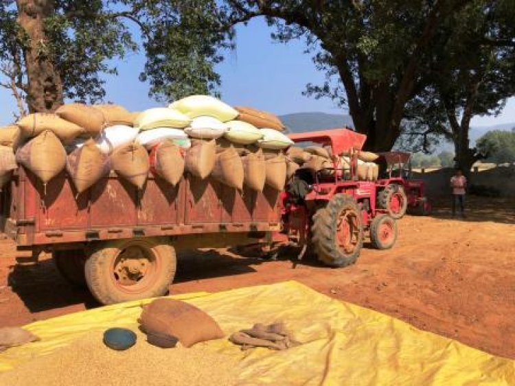 34897 किसानों से खरीदी गई 2698120.40 क्विंटल धान