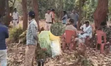 CG BREAKING : दुर्ग खेत के बाद अब जंगल में अफीम फार्मिंग