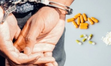 नशे के खिलाफ साय सरकार की बड़ी कार्रवाई, SOG और एंटी नारकोटिक्स सेल का किया गठन