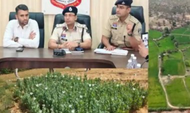 रायगढ़ में अफीम की खेती पर ‘सर्जिकल स्ट्राइक’: 72 घंटे में तमनार से लैलूंगा तक ताबड़तोड़ एक्शन; ड्रोन से पकड़ी गई 2 करोड़ की फसल