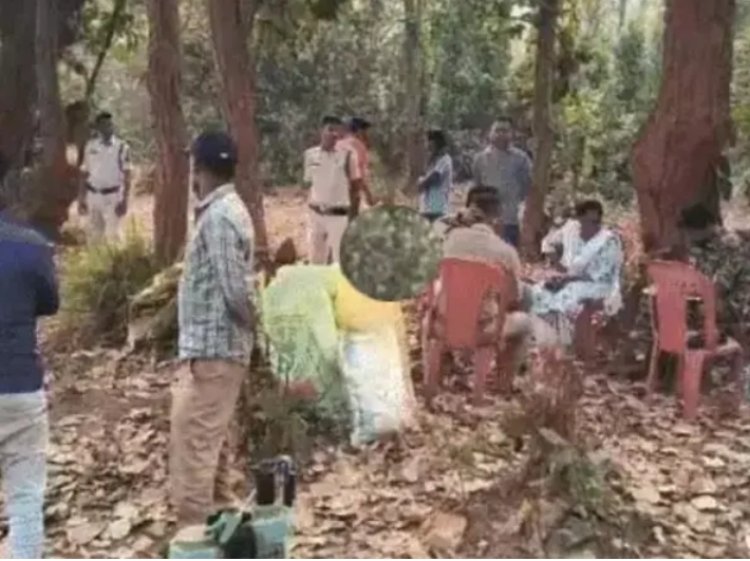 CG BREAKING : दुर्ग खेत के बाद अब जंगल में अफीम फार्मिंग