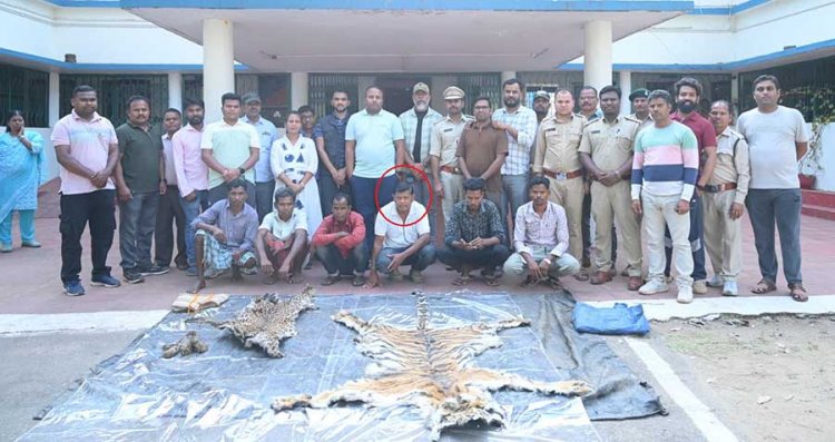 बाघ-तेंदुए के शिकार में शामिल डिप्टी रेंजर सहित 9 गिरफ्तार