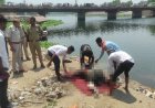 Crime : हत्या या हादसा… महादेव घाट खारून में मिली महिला की लाश, सिर में चोट के निशान, जांच में जुटी पुलिस