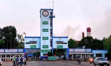 CG : भिलाई स्टील प्लांट में बड़ा हादसा, 30 फीट ऊंचाई से नीचे गिरने से ठेका मजदूर की दर्दनाक मौत