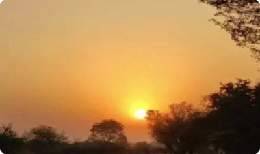 छत्तीसगढ़ में बदलेगा मौसम: आंधी-तूफान थमेगा, 3 दिन में 4° तक चढ़ेगा पारा