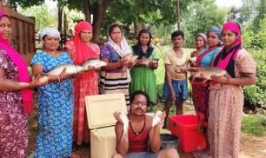 जशपुर में नीली क्रांति: मुख्यमंत्री साय के नेतृत्व में मछली पालन बना मुनाफे का सौदा