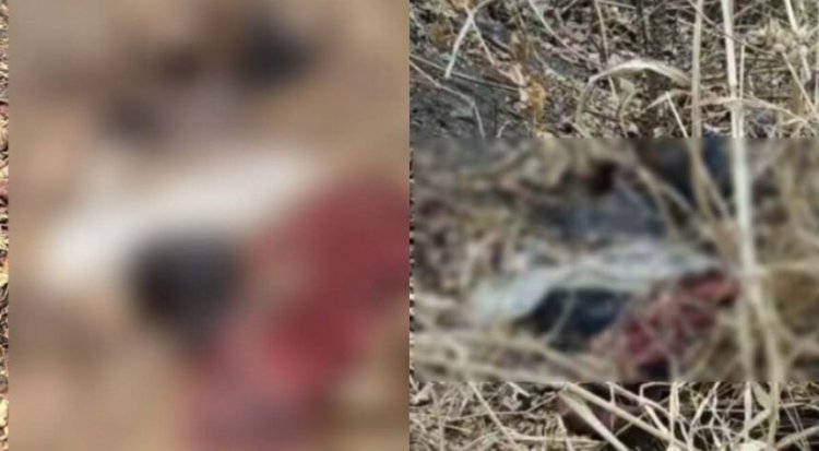 CG : सिहावा पहाड़ी पर मिली अधेड़ की लाश, मचा हड़कंप, जताई जा रही यह आशंका