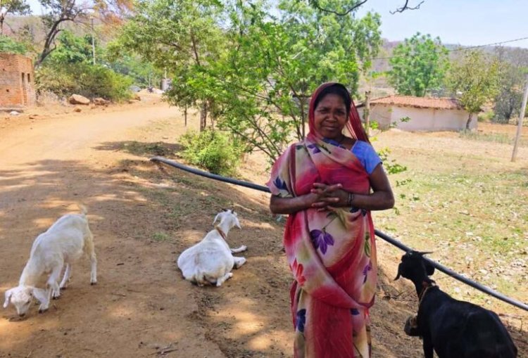 महतारी वंदन योजना से संवर रही पहाड़ी कोरवा परिवारों की तकदीर By NEWSDESK - April 19, 2026 15 0