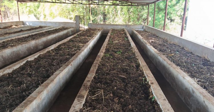 वर्मी कंपोस्ट उत्पादन बनी आत्मनिर्भरता की मिसाल