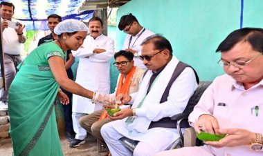 गुपचुप स्टॉल से सेंटरिंग प्लेट कारोबार तक: लखपति दीदी मंजू बनीं आत्मनिर्भरता की मिसाल
