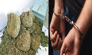 अवैध गांजा खेती का भंडाफोड़, पुलिस ने खेतों से लेकर सूखा गांजा तक किया जब्त