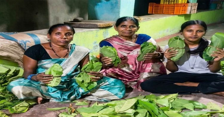 हरा सोना बना समृद्धि का आधार : तेंदूपत्ता खरीदी की बढ़ी दर ने संग्राहकों का बढ़ाया उत्साह व भरोसा, हर फड़ पर रौनक