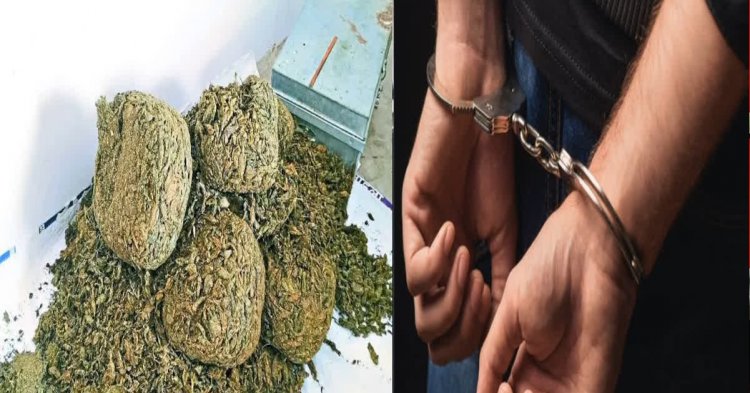 अवैध गांजा खेती का भंडाफोड़, पुलिस ने खेतों से लेकर सूखा गांजा तक किया जब्त