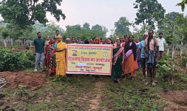 जशपुर की सभी ग्राम पंचायतों में रोजगार दिवस का आयोजन, मनरेगा से रोजगार और विकास को मिली नई गति….