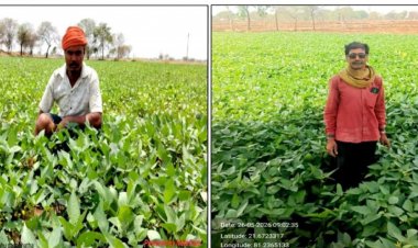 ग्रीष्मकालीन उड़द की खेती से आत्मनिर्भरता की ओर बढ़े कदम