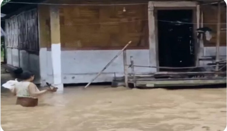 यूपी-बिहार और छत्तीसगढ़ में पेड़-बिजली गिरने से 13 की मौत: MP-गुजरात में अटका मानसून, दिल्ली-हरियाणा में 43°C पार पारा