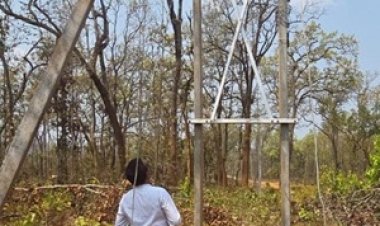 दशकों का अंधेरा छँटा:नियद नेल्लानार योजना से जगमगाए नारायणपुर के वनांचल गांव
