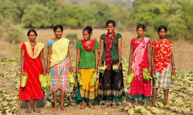 42 हजार से अधिक तेंदूपत्ता संग्राहकों के खातों में पहुंचे 40.72 करोड़ रुपए