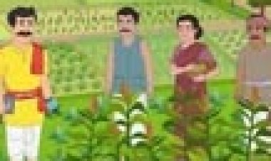 धमतरी के किसानों को राहत: प्रधानमंत्री फसल बीमा योजना में सिर्फ 2% प्रीमियम पर फसलों को मिलेगा सुरक्षा कवच