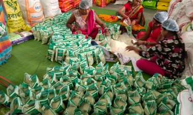 गौरेला-पेंड्रा-मरवाही: एक जिला-एक उत्पाद: विष्णुभोग चावल की महक जीपीएम जिले की बनी पहचान