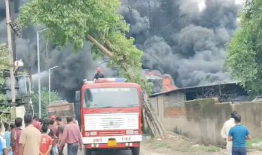 CG - कार्बन फैक्ट्री में लगी भीषण आग, आसमान में उठा काले धुएं का गुब्बारा, मंजर देख फैली दहशत