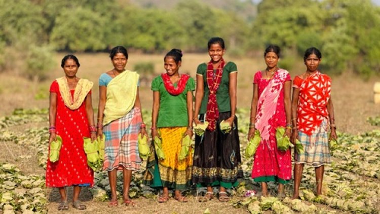 42 हजार से अधिक तेंदूपत्ता संग्राहकों के खातों में पहुंचे 40.72 करोड़ रुपए