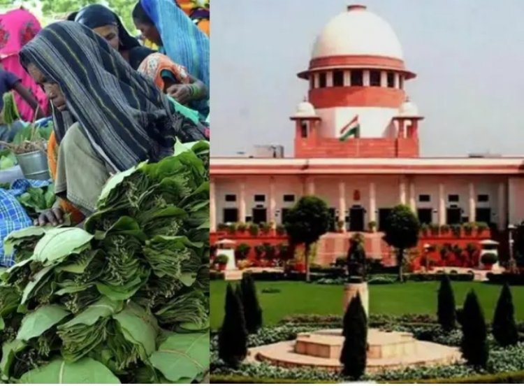 CHHATTISGARH : तेंदूपत्ता खरीदी विवाद सुप्रीम कोर्ट पहुंचा, सरकार से 4 हफ्ते में जवाब तलब